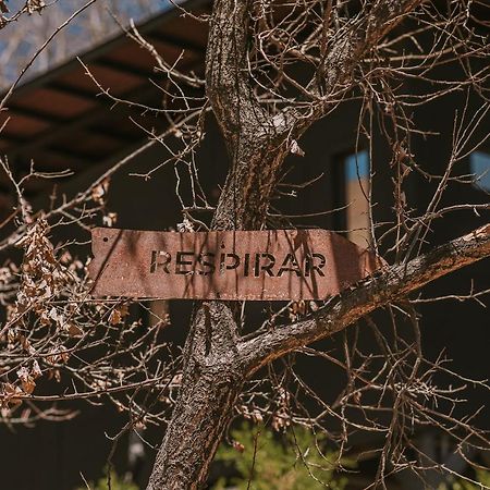 Hotel Vivelo Elqui Landscape Horcon  Ngoại thất bức ảnh