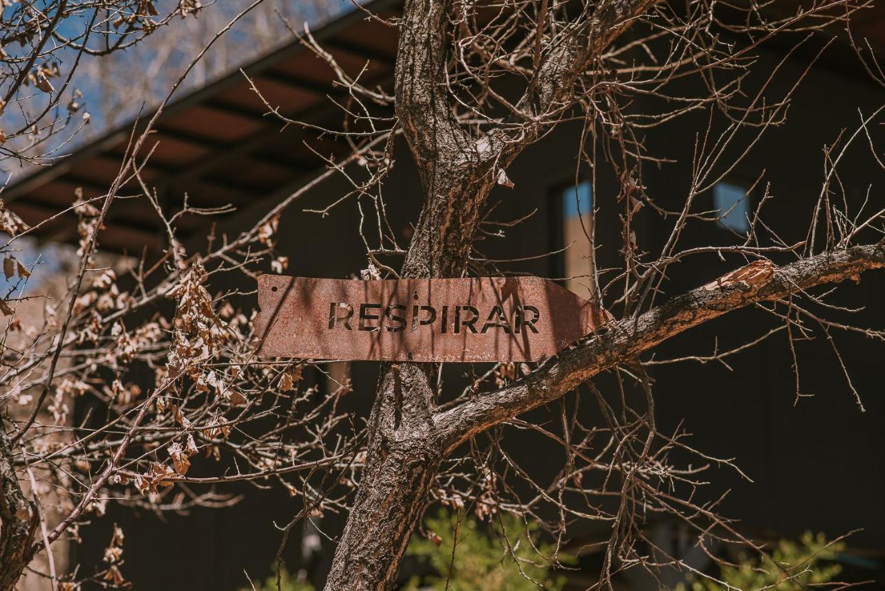 Hotel Vivelo Elqui Landscape Horcon  Ngoại thất bức ảnh